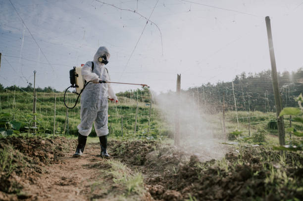 Best Commercial Pest Control Services  in North St Paul, MN