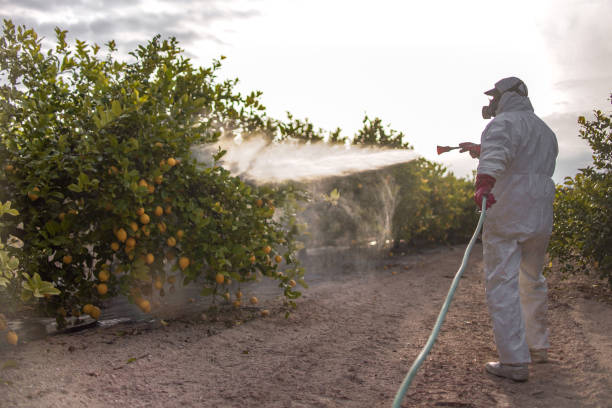 Best Pest Prevention Services  in North St Paul, MN