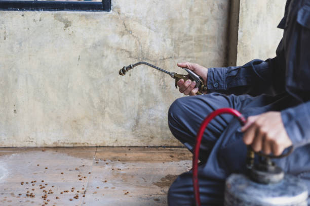 Best Pest Control Near Me in North St Paul, MN